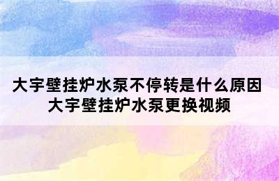 大宇壁挂炉水泵不停转是什么原因 大宇壁挂炉水泵更换视频